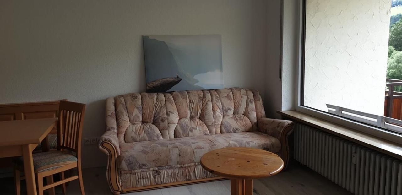 Haus Am Sonnenberg,Todtnauberg, Ferienwohnung 105, Direkt Am Skilift-Skipiste, Naehe Feldberg Buitenkant foto