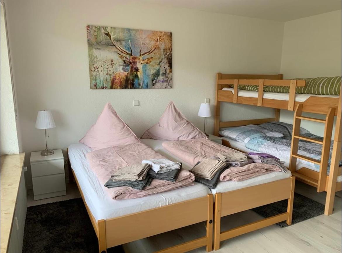 Haus Am Sonnenberg,Todtnauberg, Ferienwohnung 105, Direkt Am Skilift-Skipiste, Naehe Feldberg Buitenkant foto