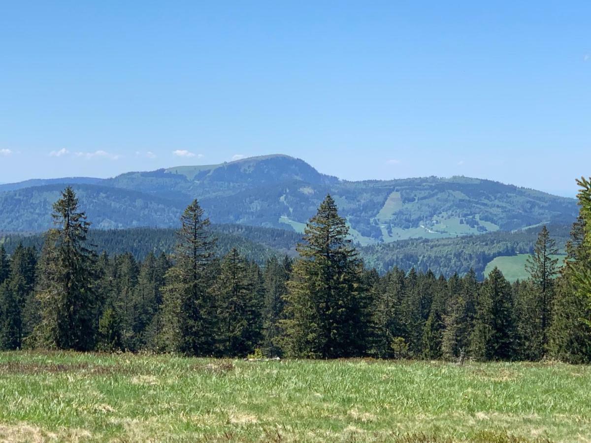 Haus Am Sonnenberg,Todtnauberg, Ferienwohnung 105, Direkt Am Skilift-Skipiste, Naehe Feldberg Buitenkant foto