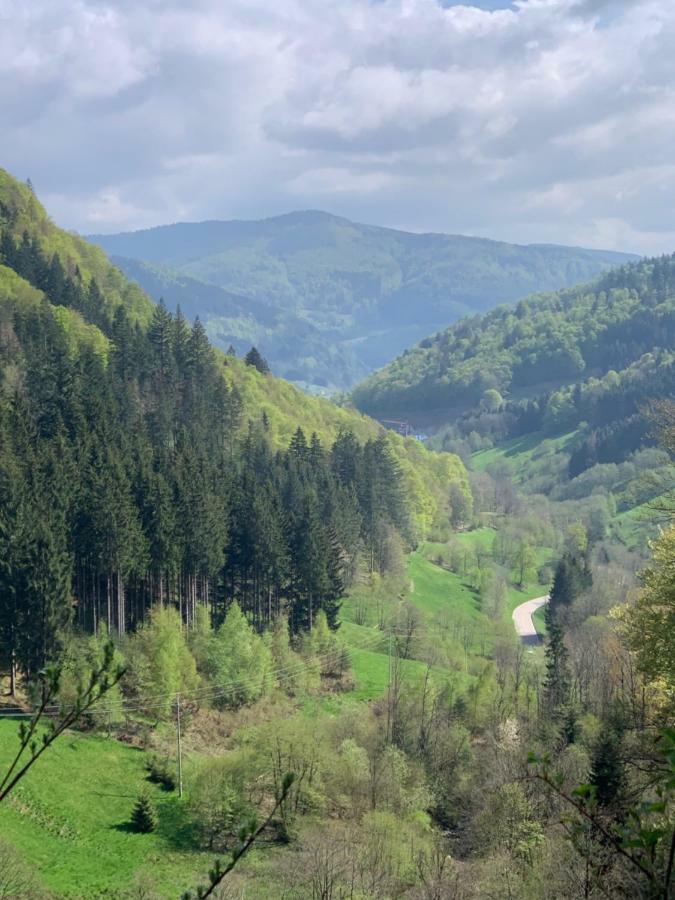 Haus Am Sonnenberg,Todtnauberg, Ferienwohnung 105, Direkt Am Skilift-Skipiste, Naehe Feldberg Buitenkant foto